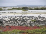 Zuid Bonaire.jpg